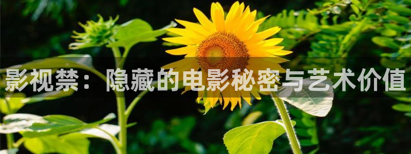 青柠影视免费看：影视禁：隐藏的电影秘密与艺术价值