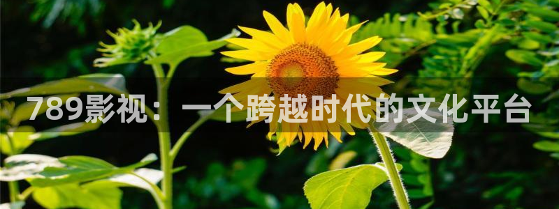 青柠影视在线免费：789影视：一个跨越时代的文化平台