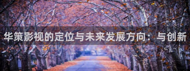 青柠影院在线视频：华策影视的定位与未来发展方向：与创新